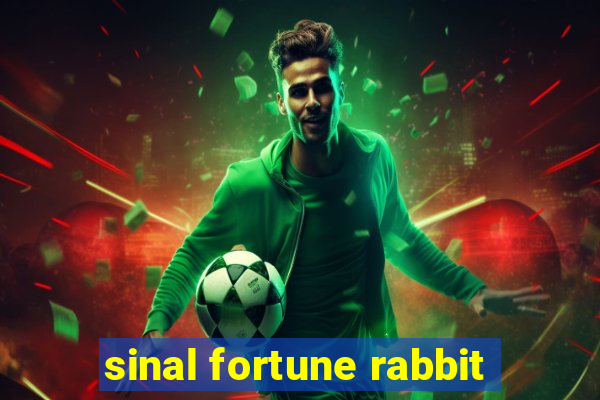 sinal fortune rabbit